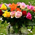 Sag es durch die Blume